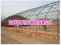 花卉大棚 廠家、種植價格與成本詳解